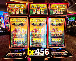 br456 App Interface